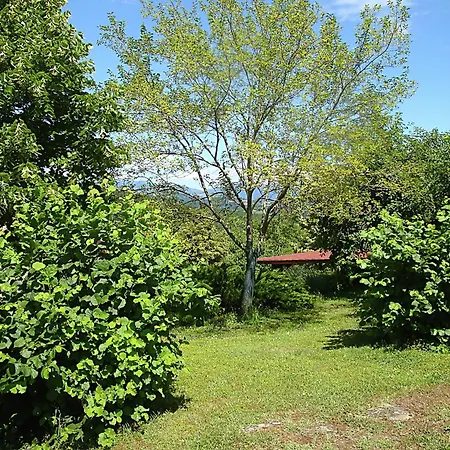 Дом отдыха In Umbria With Pool Biscina